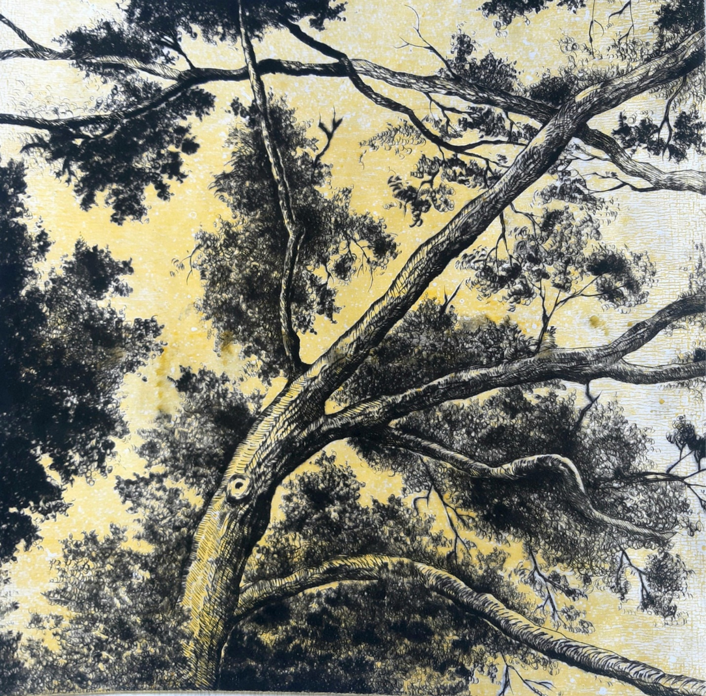 Nature Study